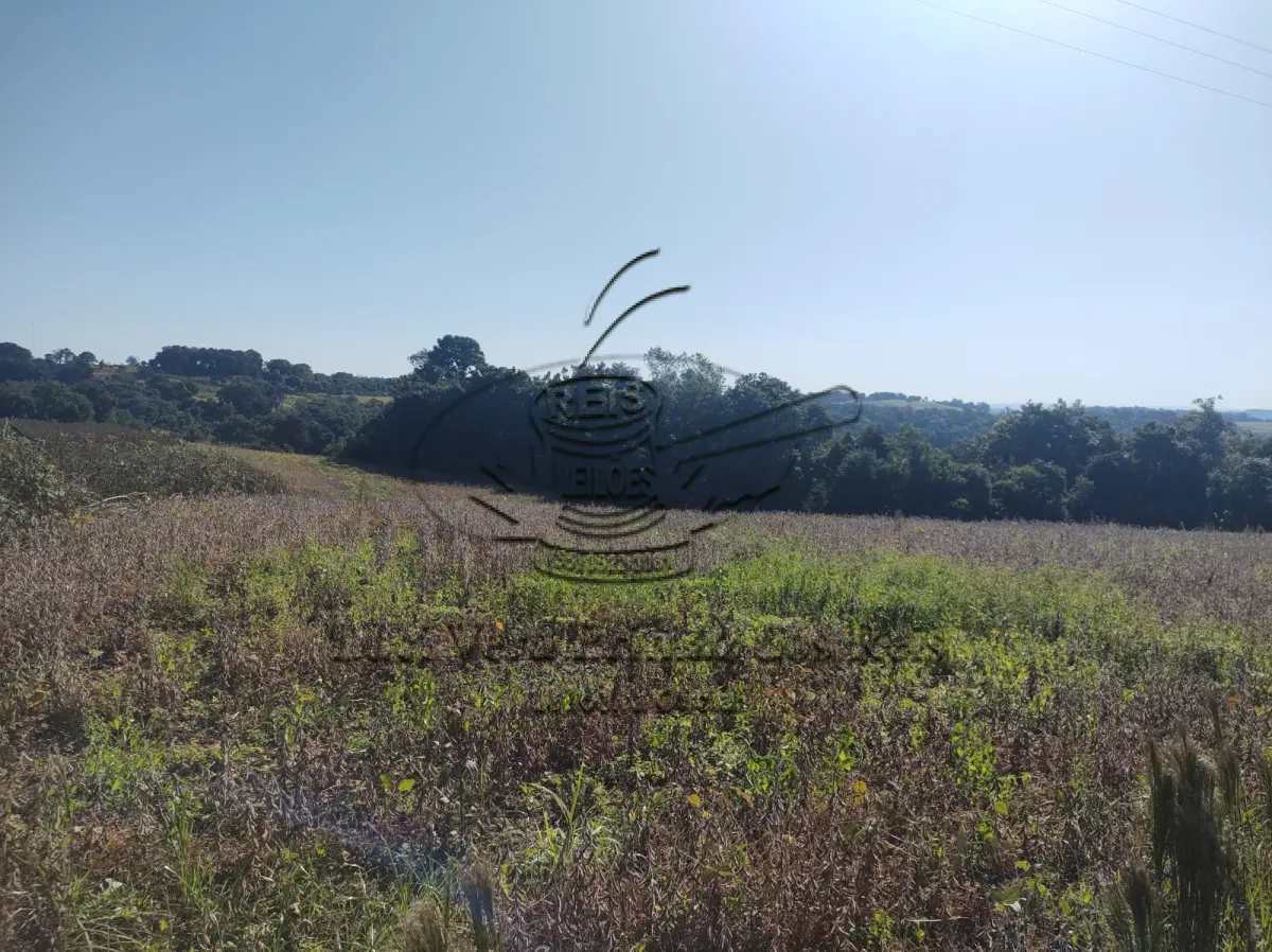 LOTE  - Fração rural