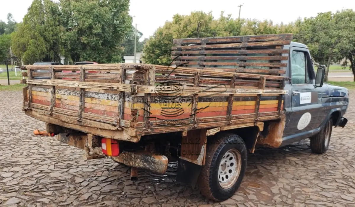 LOTE 015 - FORD/F1000