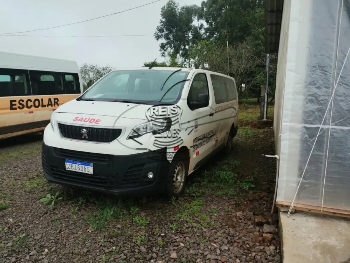 LOTE 003 - MINIVAN