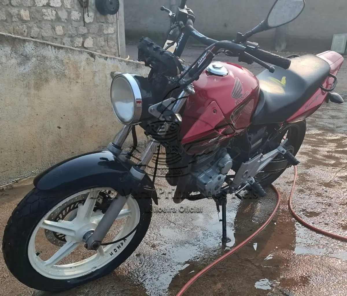 LOTE 0019