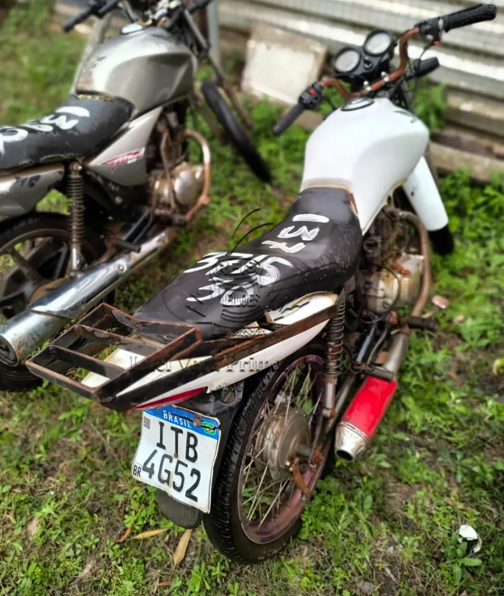 LOTE 0137