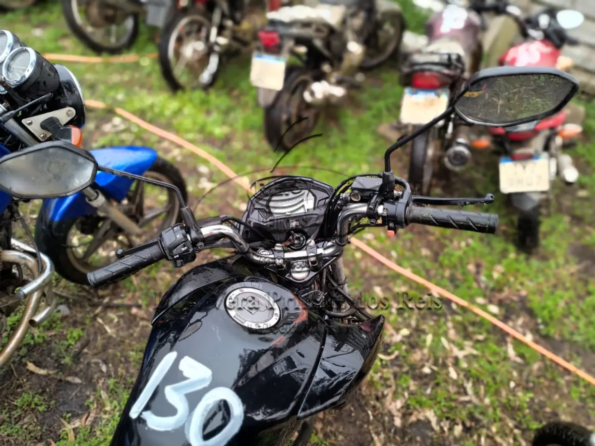 LOTE 0130