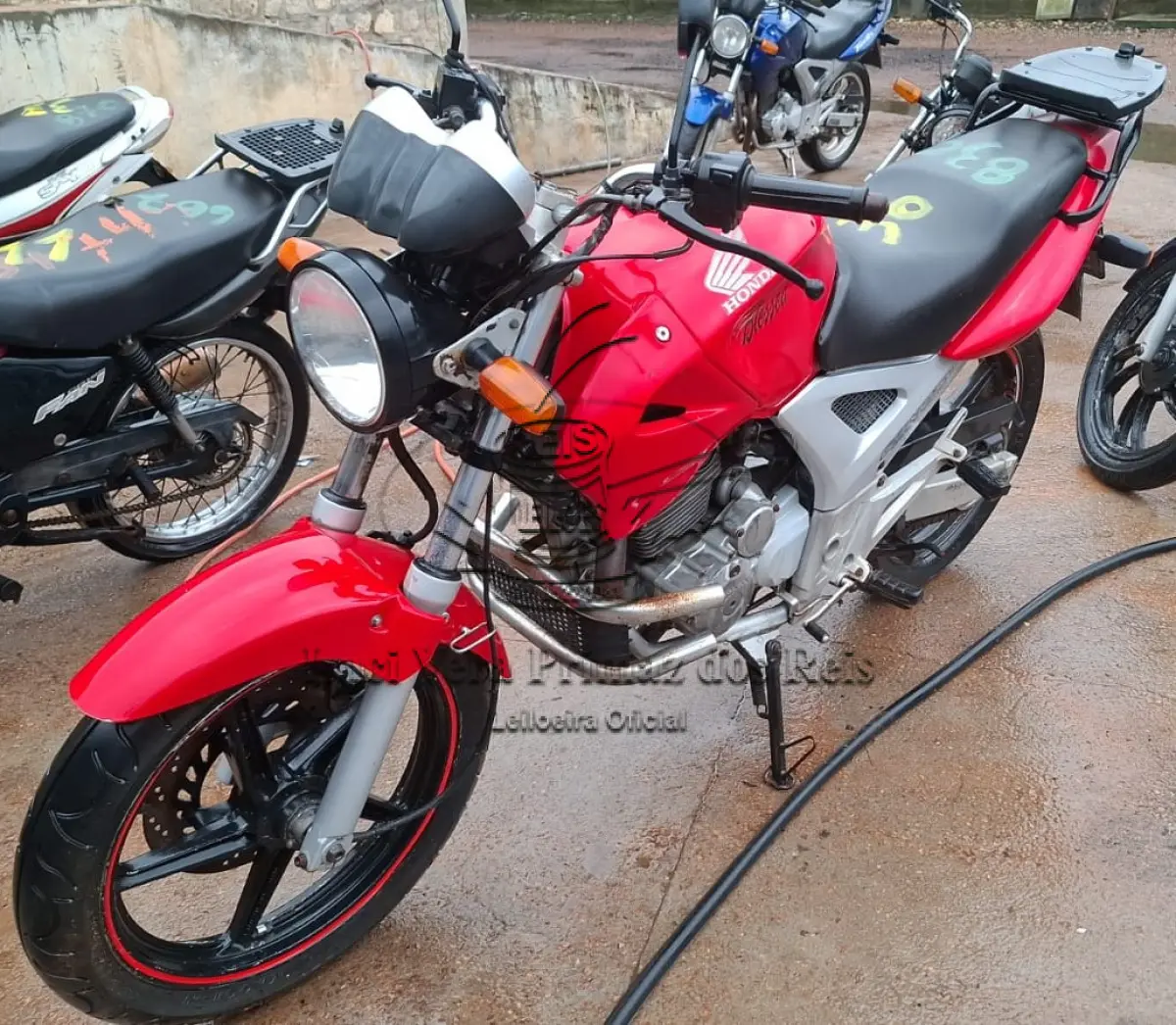 LOTE 0030