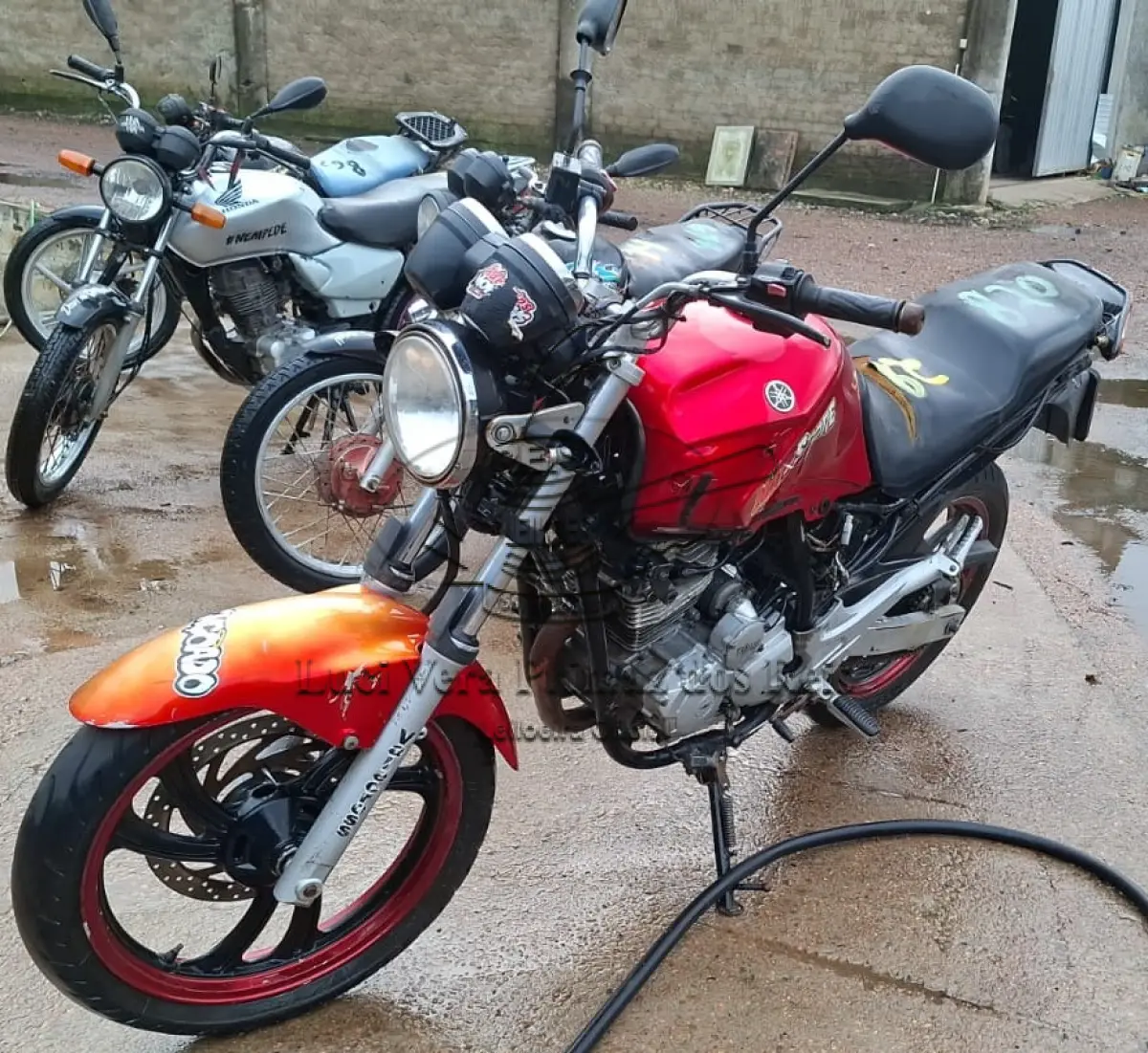 LOTE 0029