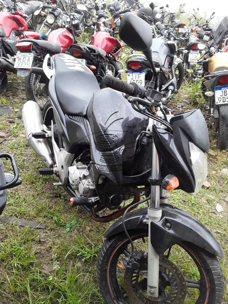 LOTE 0280