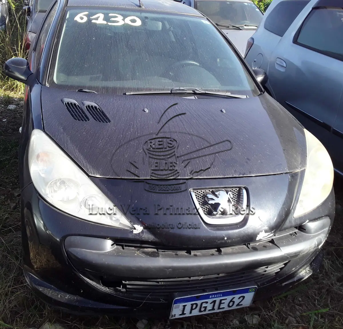 LOTE 0300