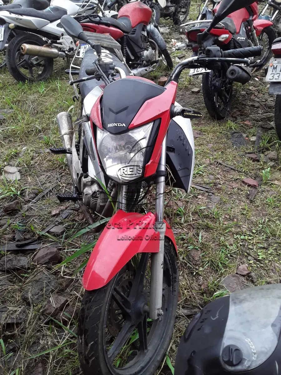 LOTE 0278