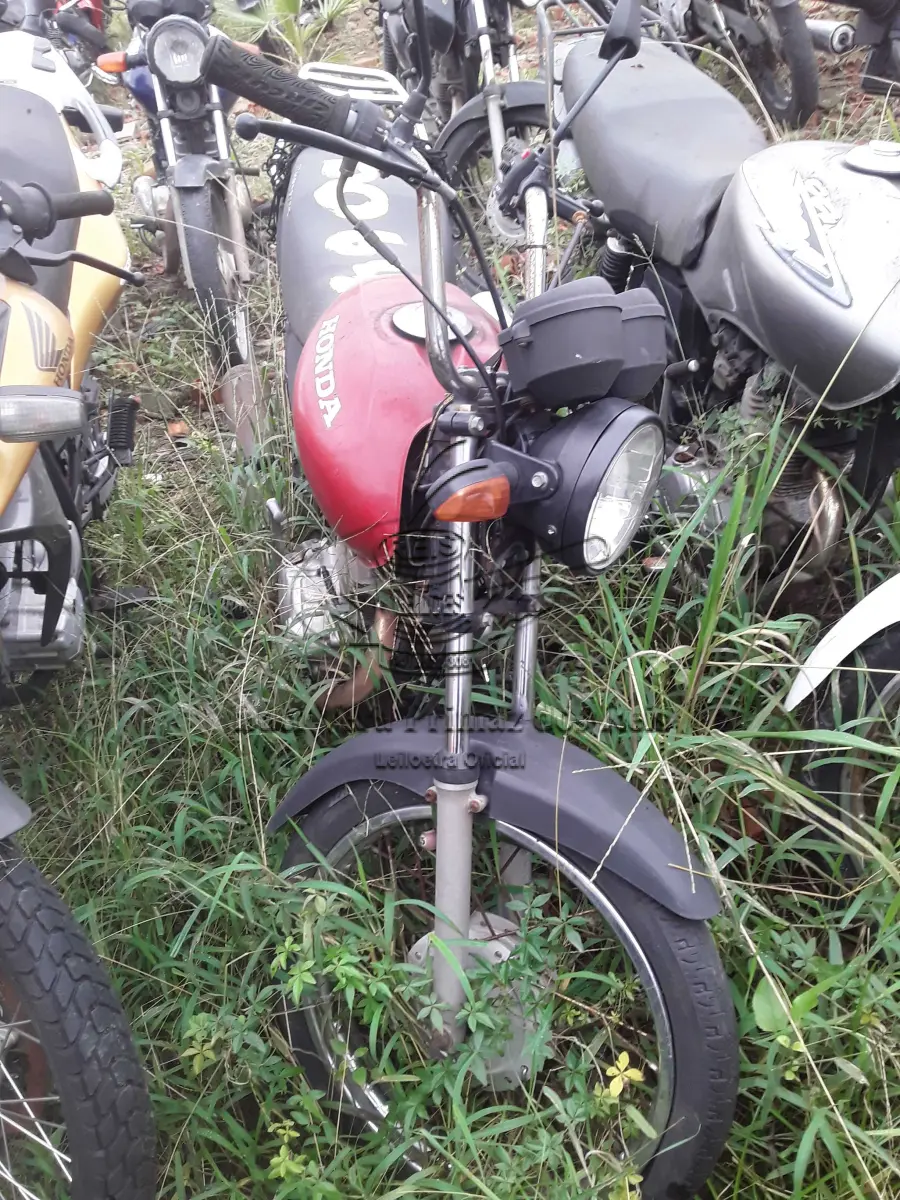 LOTE 0275