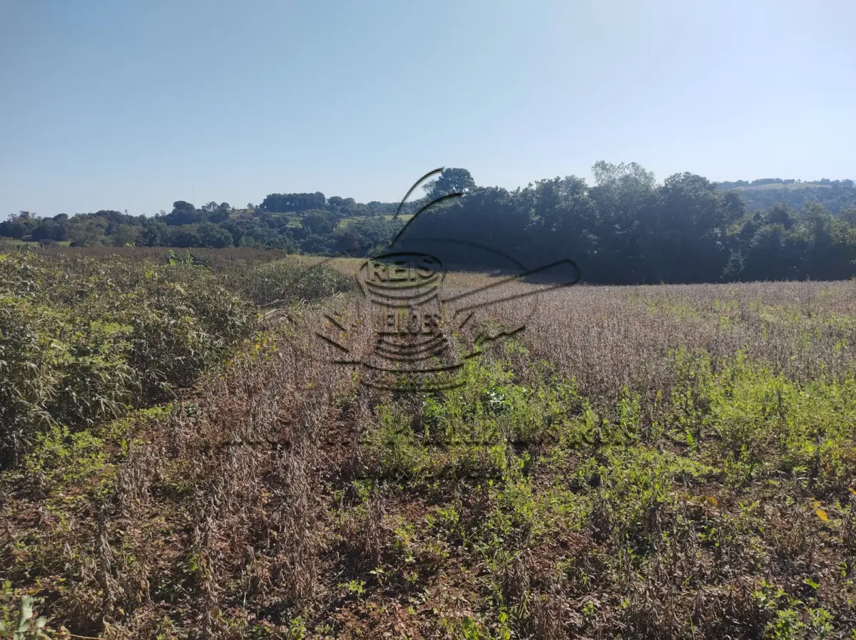 LOTE  - Fração rural