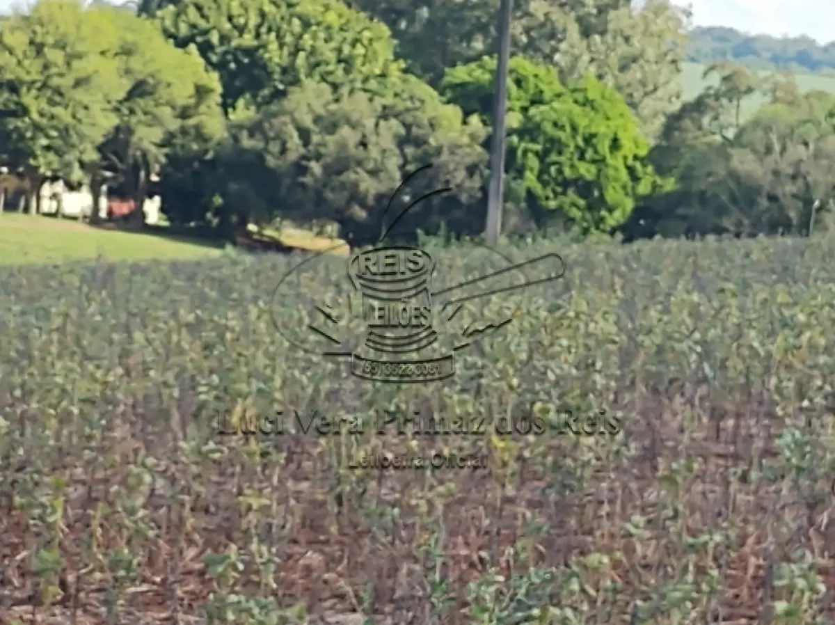 LOTE 001 - FRAÇÃO DE TERRAS CAIBATE -RS