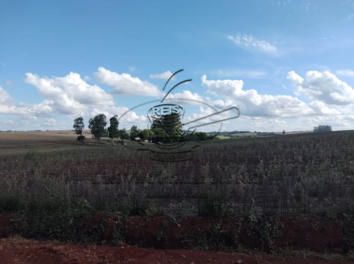 LOTE 001 - FRAÇÃO DE TERRAS CAIBATE -RS