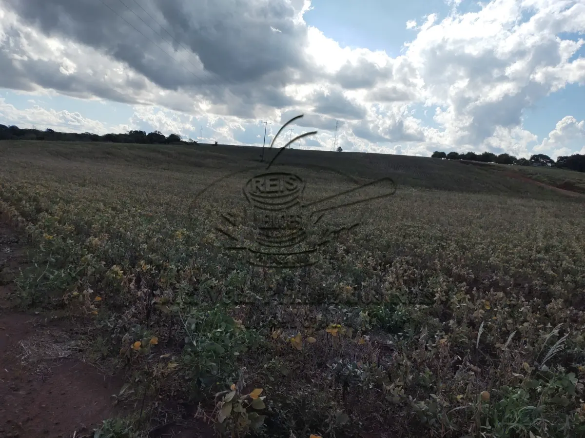 LOTE 001 - FRAÇÃO DE TERRAS CAIBATE -RS
