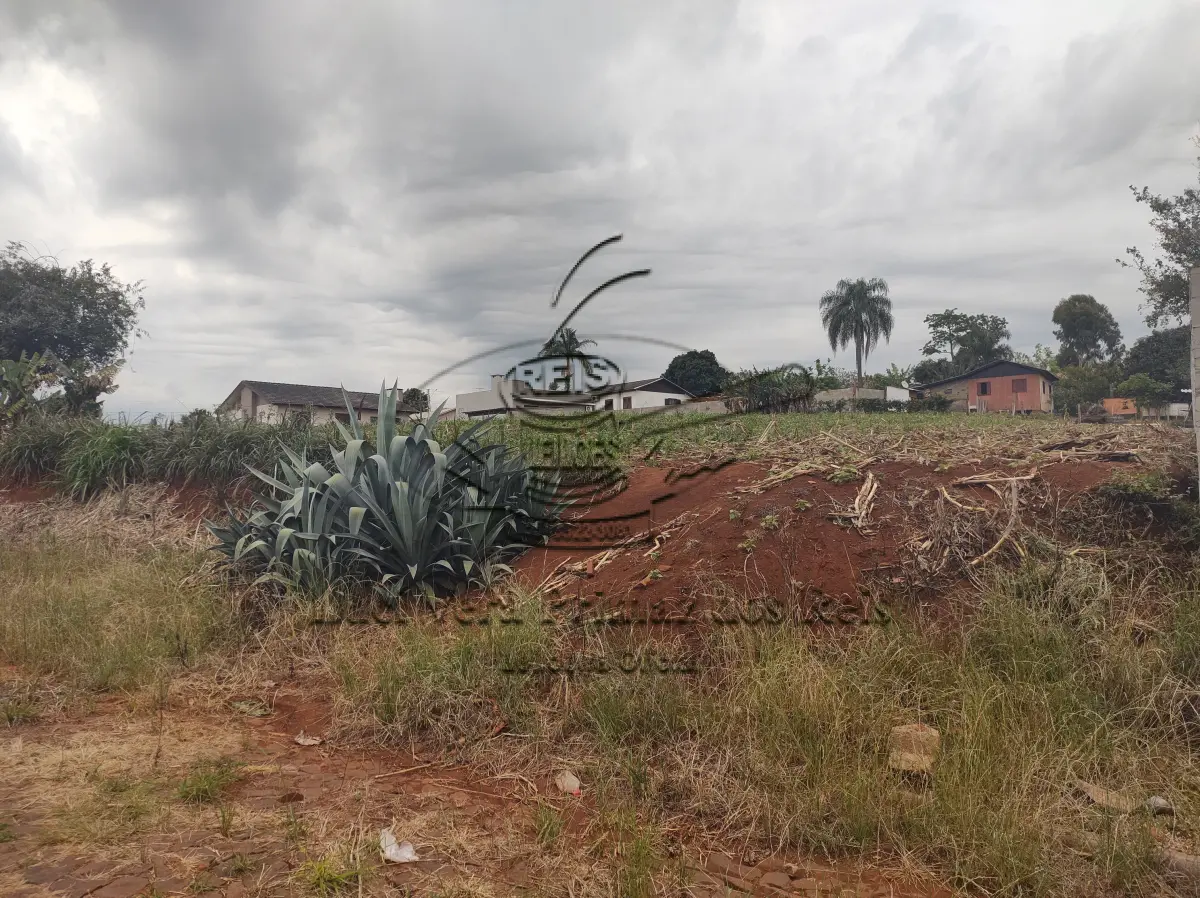 LOTE 001 - LOTE URBANO - PADRE GONZALES