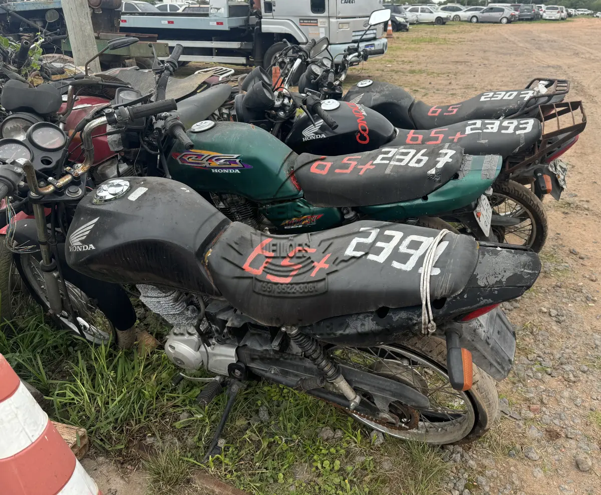LOTE 0065
