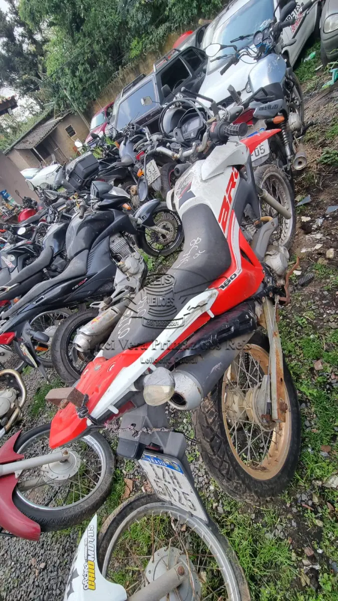 LOTE 0227