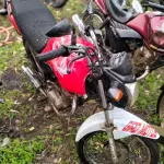 Foto 5