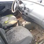 Foto 5