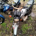Foto 5