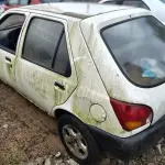 Foto 9