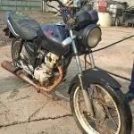 Foto 2